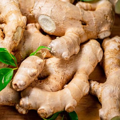 Ginger